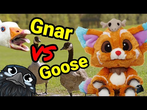 Play AD attack speed Gnar whilst getting bullied by a goose: League of legends