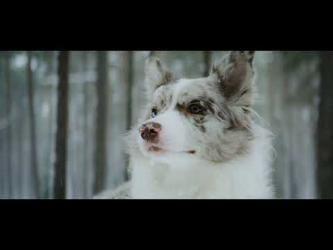 Solon x Dallerium  - Different Dimension (ft Sarah de Warren) (Official Music Video)