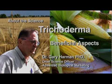 , title : 'Dr. Gary Harman: Beneficial Aspects of Trichoderma'