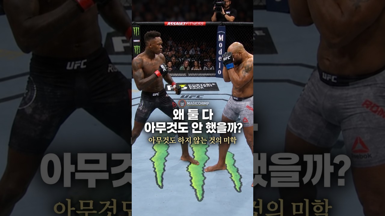 친구에게 추천해주면 개X끼 소리 듣는 UFC 경기 분석