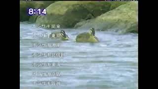 ホシザキ電機 CM 2002年