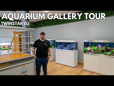 Aquarium Gallery at Twinstar EU 🇵🇹 – Simply beautiful!