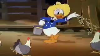 Download lagu Donal Bebek || berteman dengan sapi || Bahasa Indonesia mp3 Download lagu Donal Bebek || berteman dengan sapi || Bahasa Indonesia mp3