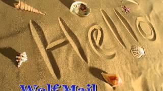 Wolf Mail - Live Blues In Red Square - 2009 - Hello - Dimitris Lesini Blues