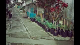 preview picture of video 'Agropolitan City Parakan'