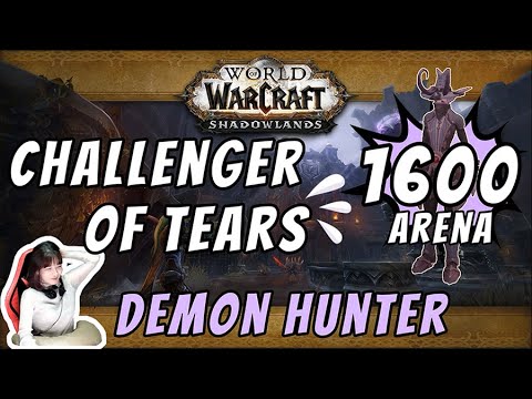 Demon Hunter PVP Arena |A beginner acquired the title of Challenger |World of Warcraft : Shadowlands