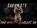 SHOW DAY // THE ARNOLD CLASSIC UK BODYBUILDING PRO SHOW