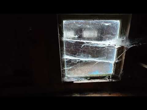 UTHUSEN vid det gamla ÖDETORPET vid kalhygget - mars 2023 - BLEKINGE - Sony Xperia 1 Mk 2-version