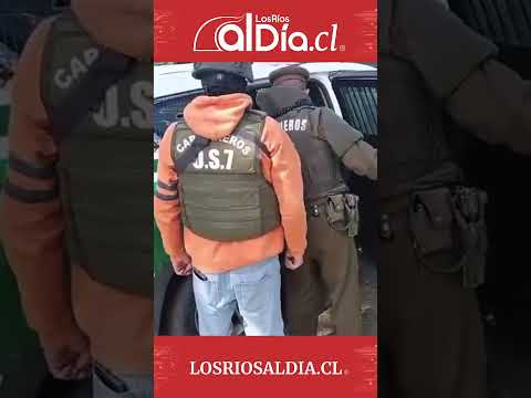 Fiscalía de Los Ríos y OS7 de Carabineros desarticulan punto de acopio de droga en Panguipulli