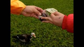 Fat Nick - All Over Me (Prod.Don Krez)