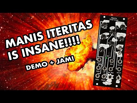 Noise Engineering Manis Iteritas  - Black image 2