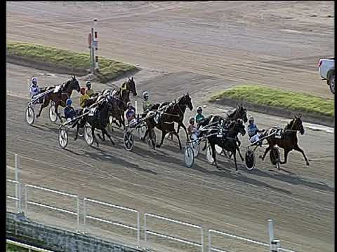 Trotto 13/06/2019 - 8ª corsa