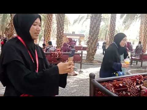 Melawat kebun kurma Aryaf Taibah