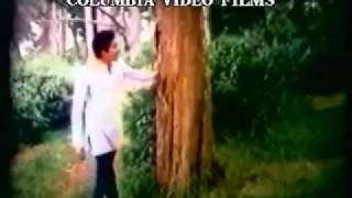 Poojaiketha Poovithu Chitra Ilayaraja Hits Neethana Andha Kuyil - YouTube 4ahil