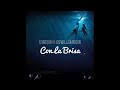 FOUDEQUSH & LUDWIG GÖRANSSON - CON LA BRISA | Spanish-English Lyrics