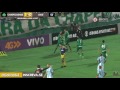 Narrador da Rádio Chapecó provoca Avaí após gol da Chape: "Leão está virando gatinho"