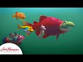 Where Does The Ocean End Splash And Bubbles The Jim Henson Company