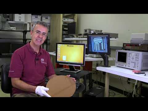 What It's Like to Major in Biology at ASU Online