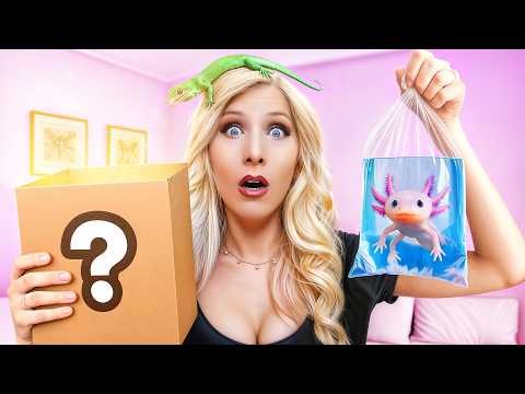 I Bought the World's Strangest Mystery Boxes!