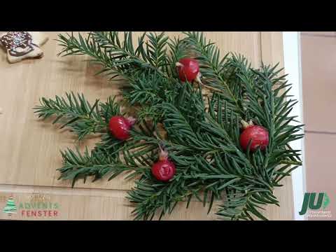 HEP St. Benedikt – Rawetzer Adventsfenster vom 12.12.2022