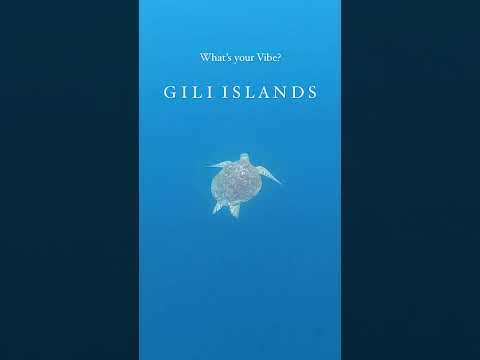 What's your Vibe: Gili T or Nusa Penida?