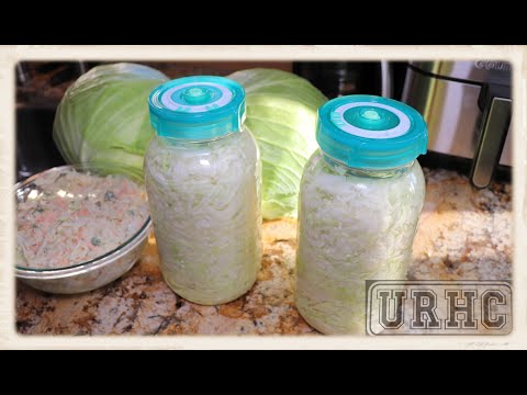 download lagu mp3 mp4 Sauerkraut Kit, download lagu Sauerkraut Kit gratis, unduh video klip Sauerkraut Kit