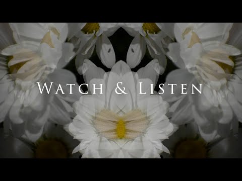 Watch & Listen - Trailer