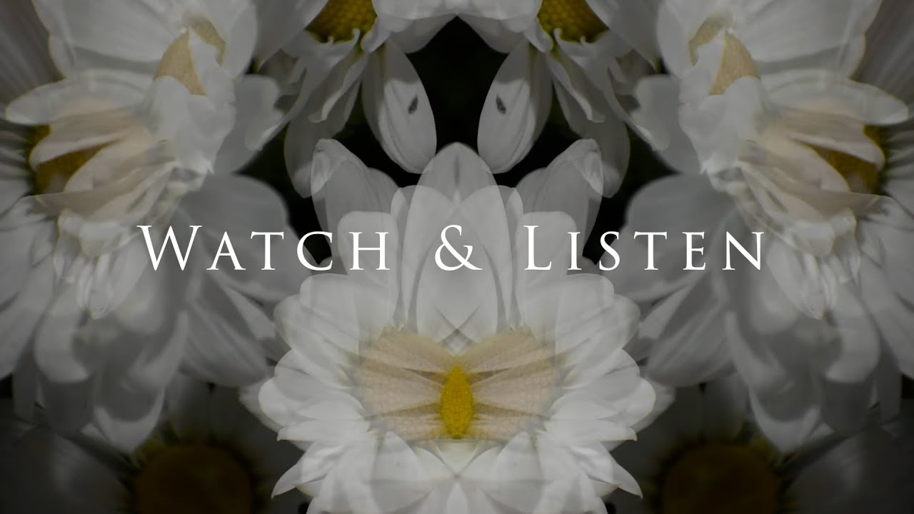 Watch & Listen - Trailer