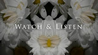 Watch & Listen - Trailer