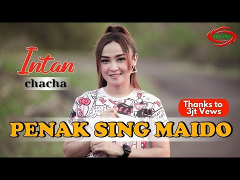 PENAK SING MAIDO ( DJ SANTUY ) - INTAN CHACHA [ FULL HD ]