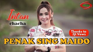 Download lagu PENAK SING MAIDO ( DJ SANTUY ) - INTAN CHACHA [ FULL HD ] mp3