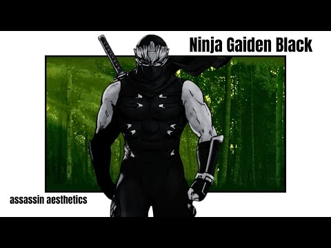 Ninja Gaiden Black is AESTHETIC as heck