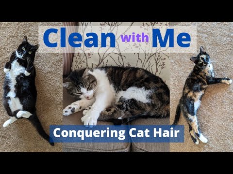 Clean With Me: Conquering Cat Hair