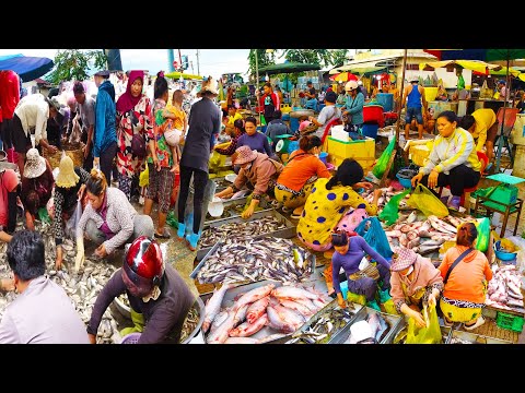 Morning Fish Market Scene @ Chhar Ampov - Amazing Big Site Contribute Fish & Seafood
