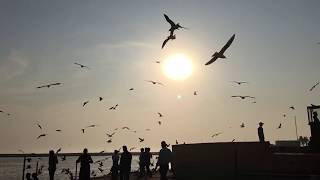 preview picture of video 'Triveni Sangam Triveni Ghat Somnath Veraval Patan Saurashtra  By LcTravelers'