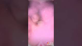 Download lagu 1 Desember 2018 mp3