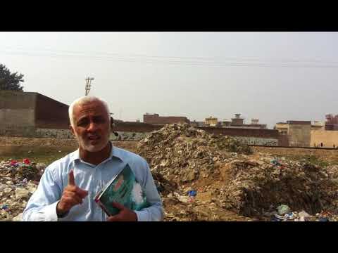 What Killed Most Vultures ? By Rayed Afzal