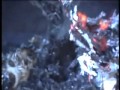 Zero 7 Waiting to Die