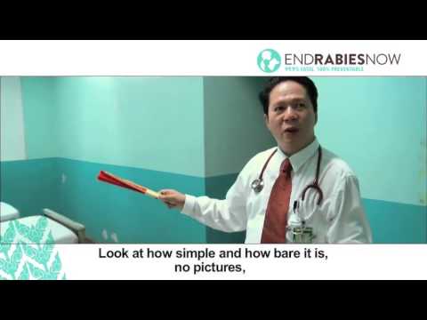 Rabies symptoms in people