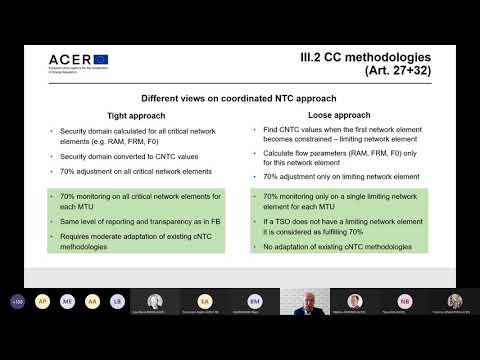 Webinar on 'ACER Recommendation on CACM Regulation'   Session II  Capacity calculation, bidding zone