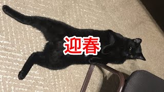 2020年　明けましておめでとうございます。