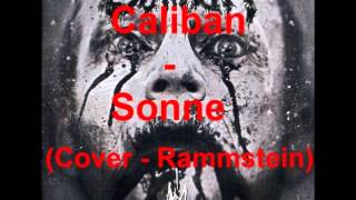 PLAYLIST N° 006 JUNE 2013 (VARIOUS METAL COVER)