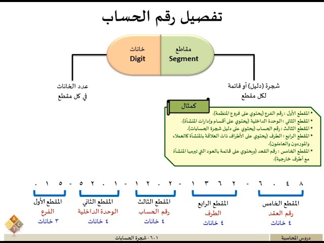 601 - شجرة الحسابات