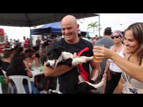 TJ UFSC 18/03/19 - Dia de São Patrício