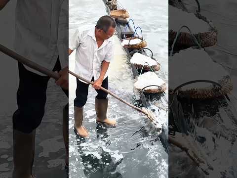 Sun-drying sea salt: Collecting natural salt crystals formed by the evaporation of seawater