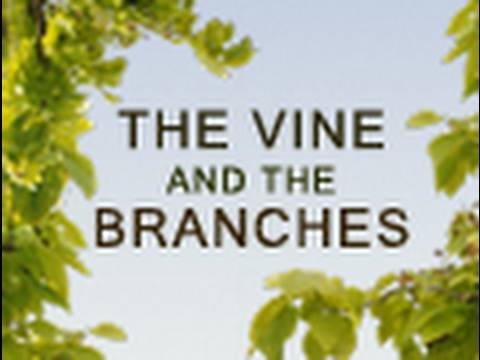 The Vine and the Branches - Paul Washer