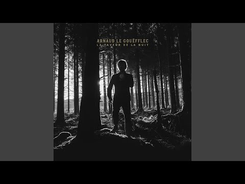 La Proie pour l'ombre