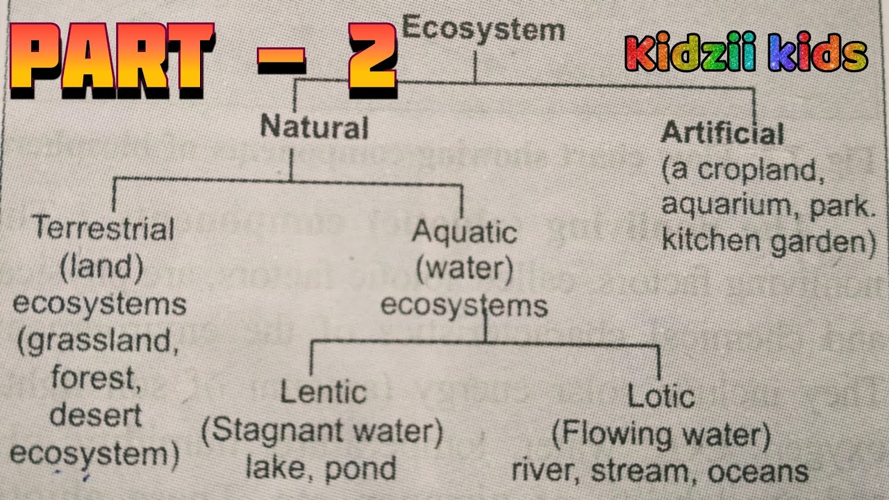 Living Things in Ecosystem - Kidzii Kids