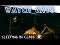 Watch_Cats (The True Story of the 4chan Leaked ...