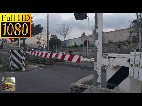 PASSAGGIO A LIVELLO PRINCIPALE DI ALBEROBELLO | ɅNDREɅUS TRENI E P.L. F.S.E.